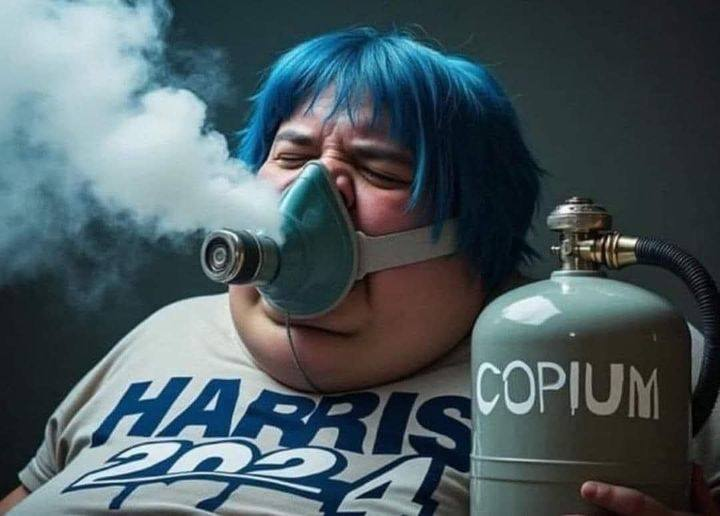 1730927652762.png