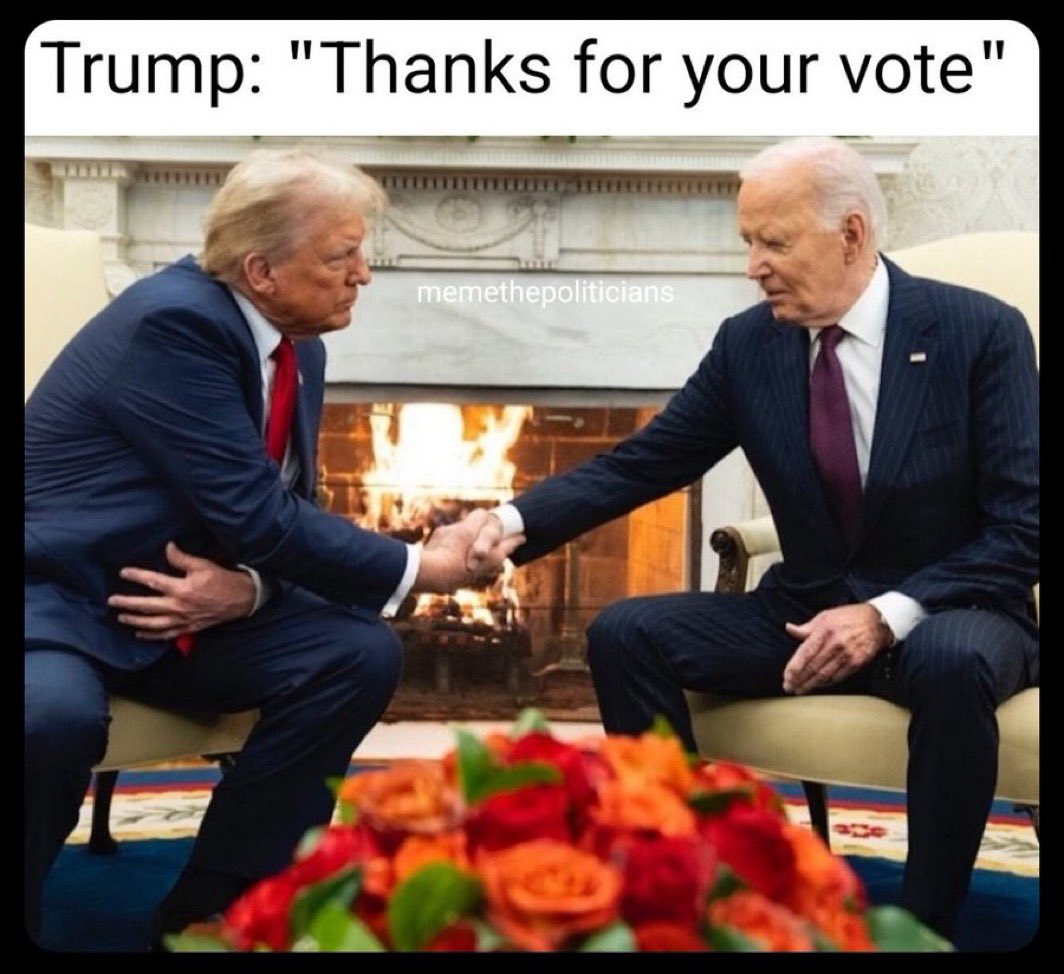 1731584294459.jpeg