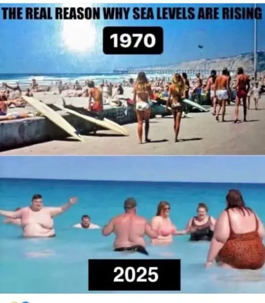 1753812516626.png