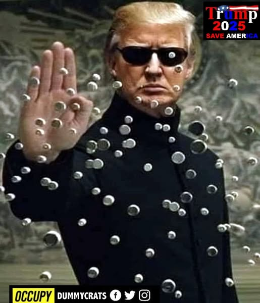 1755788230802.png