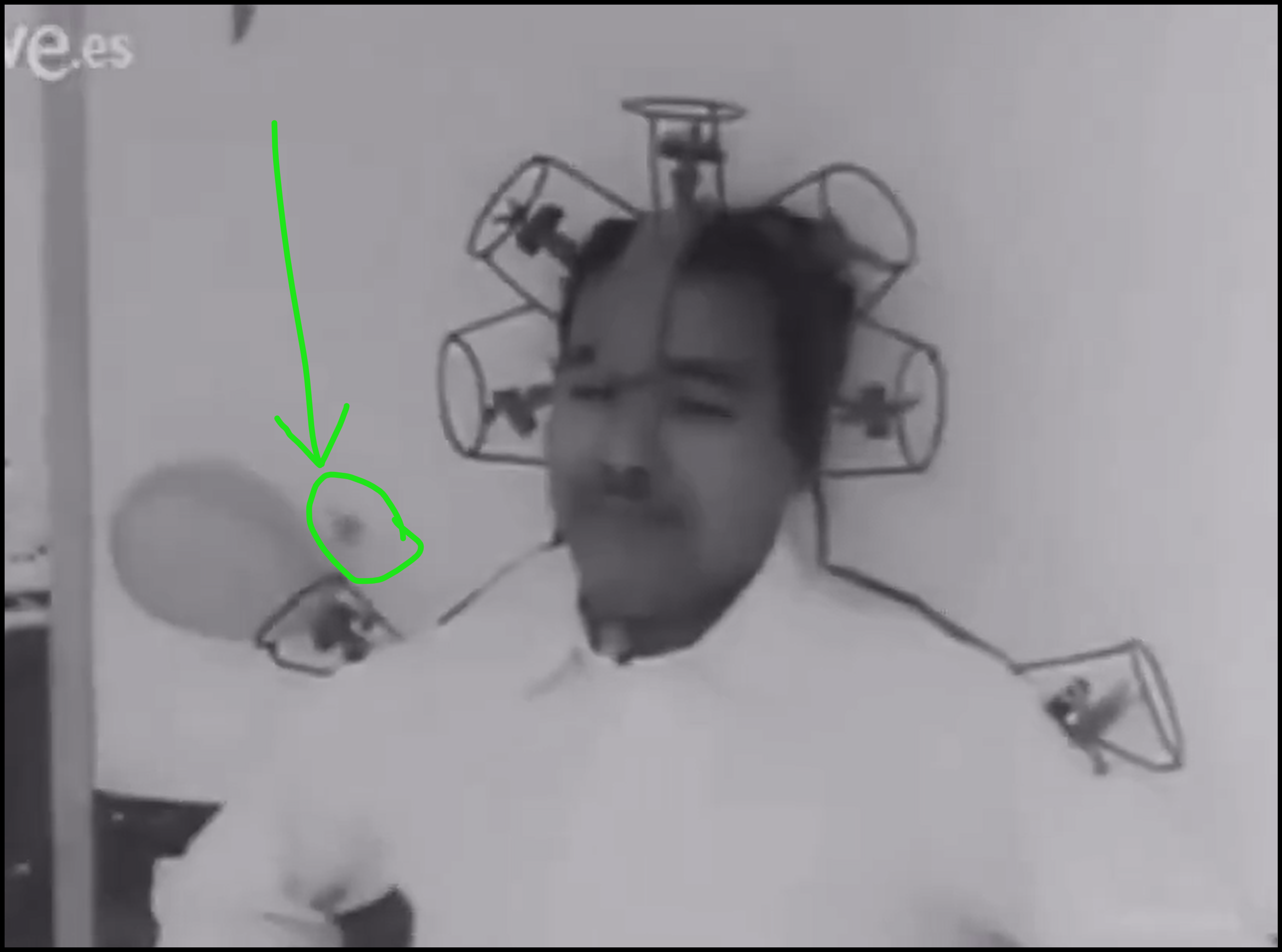 1761433622351.png