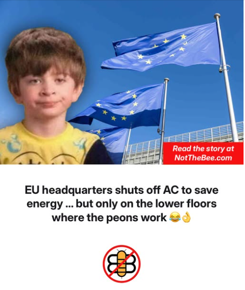 1782584191341.png