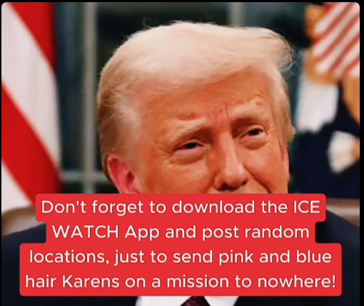 1782998673445.png