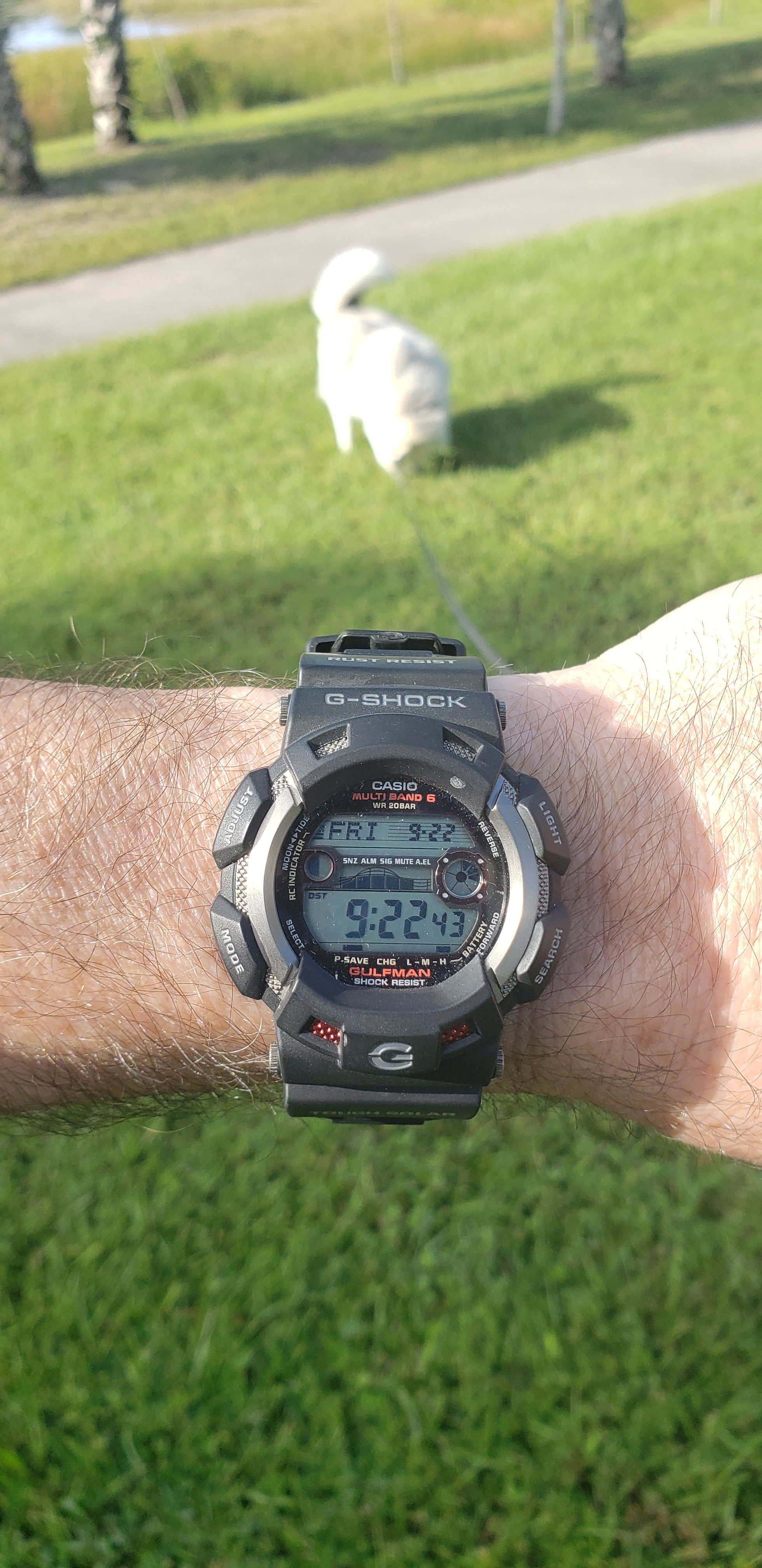 20230922_092243.jpg