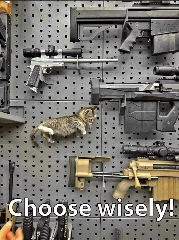 Choose-wisely.jpg