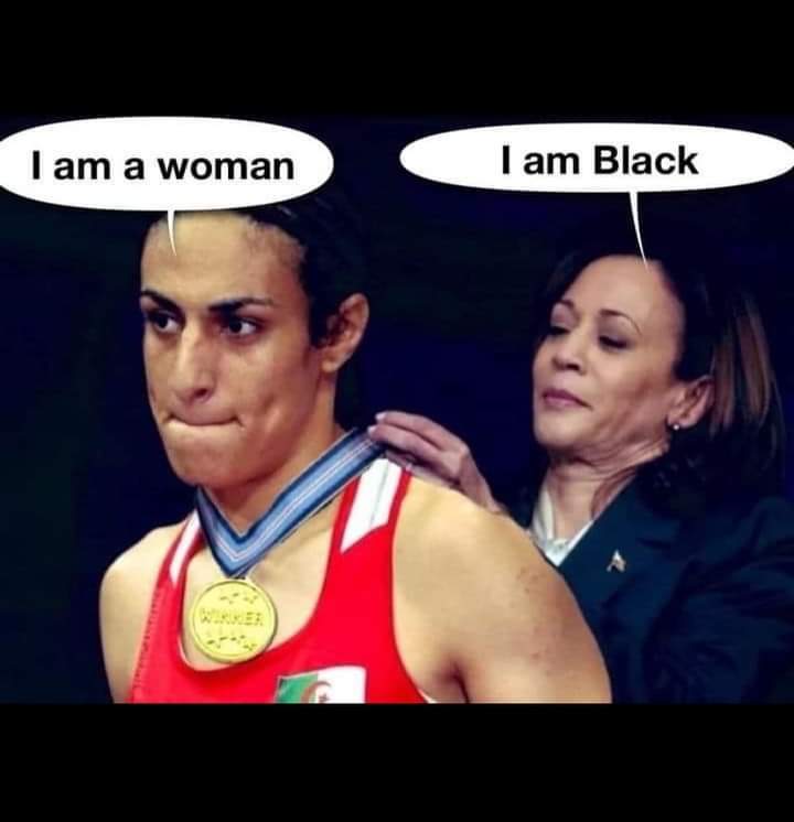 FB_IMG_1724152909476.jpg