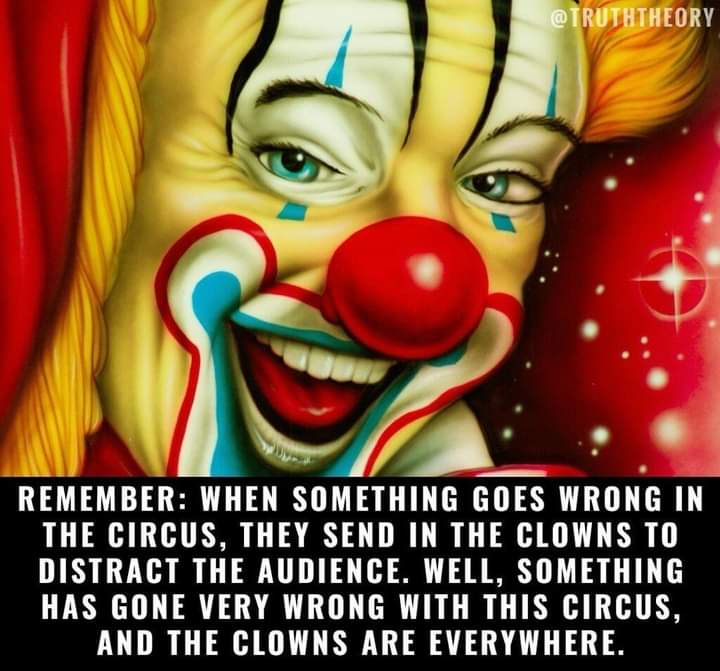 FB_IMG_1724199506623.jpg