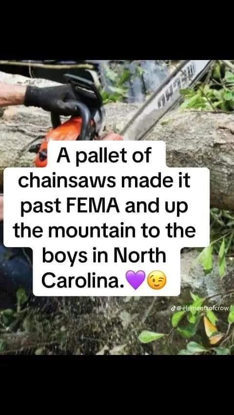 FB_IMG_1728356763711.jpg