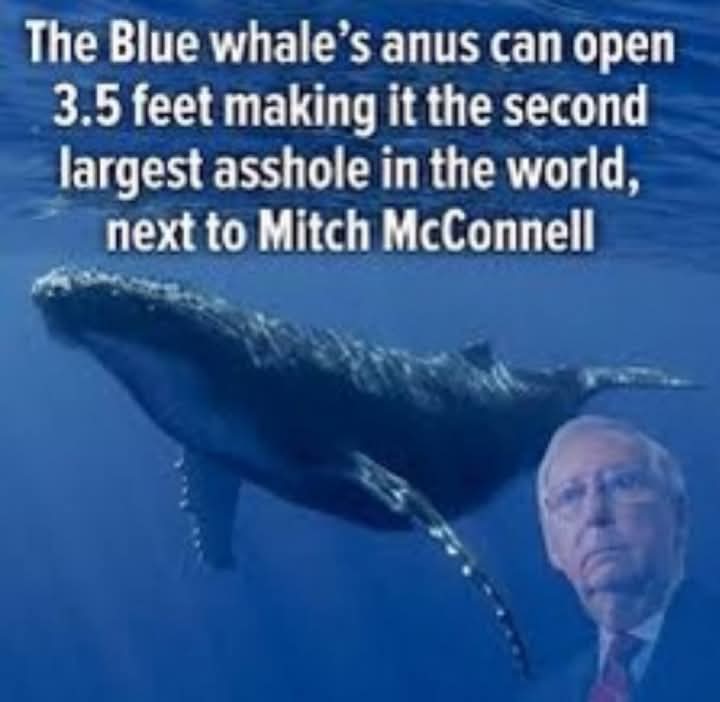 FB_IMG_1737825413791.jpg