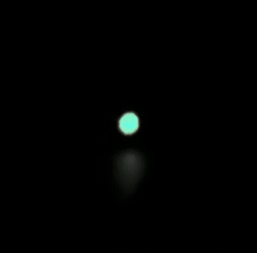 IMG_0210.jpeg
