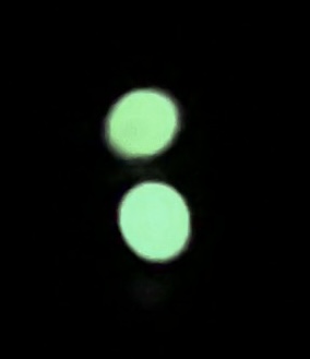 IMG_0211.jpeg