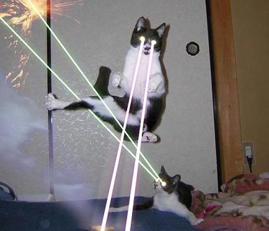 laser-cats.jpg
