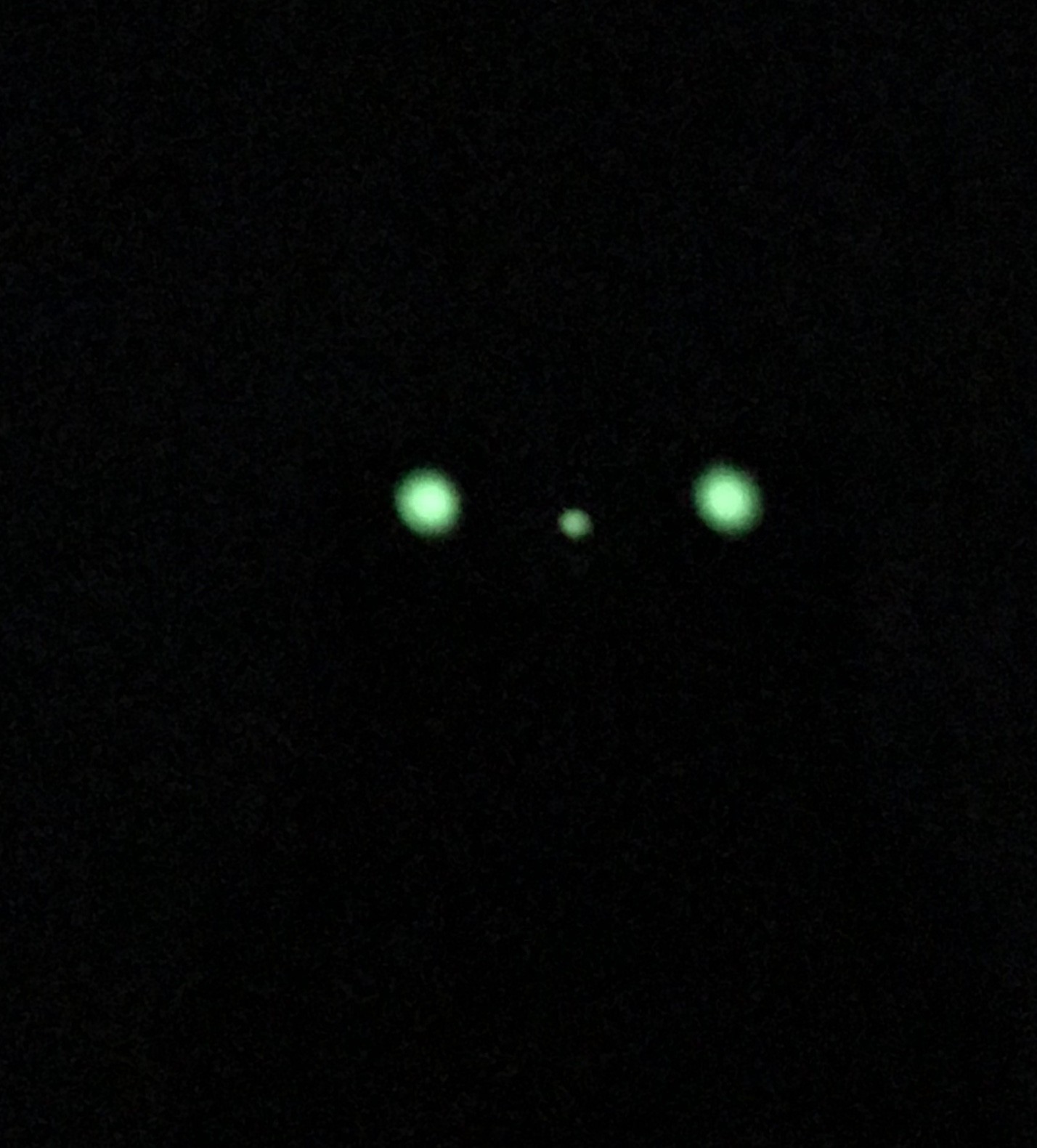 Night Sights.jpg