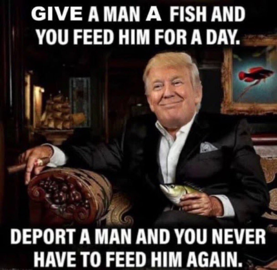 nomorefeed.jpg