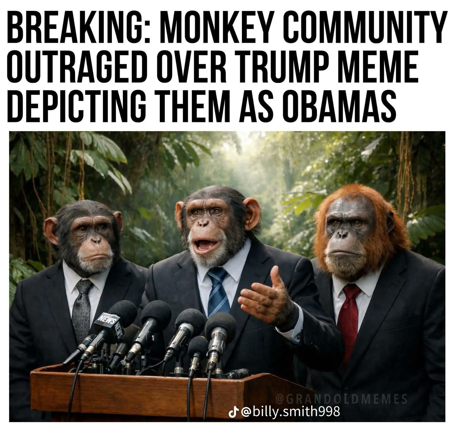 outragedmonkeys.jpg