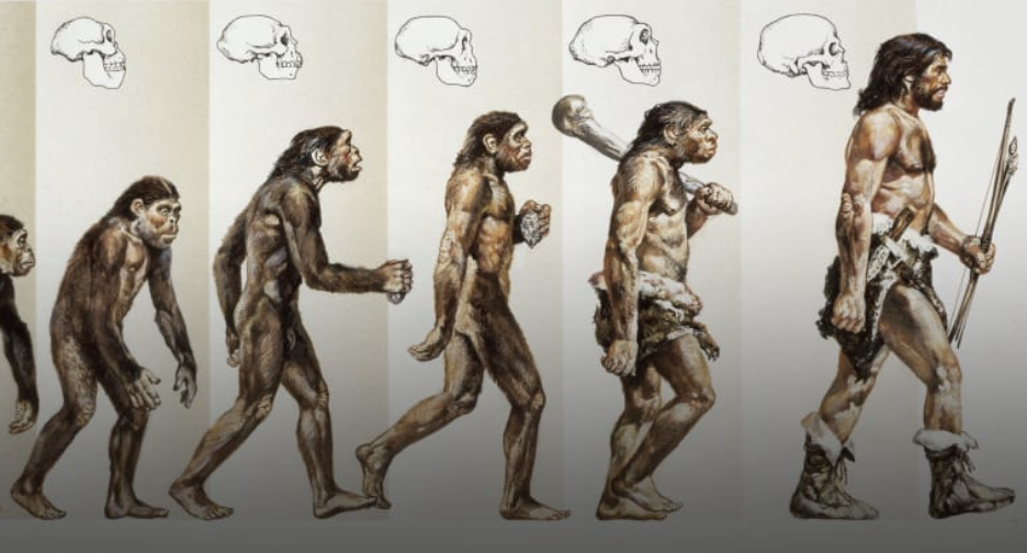 Screenshot 2023-08-02 at 3.28.54 AM.png