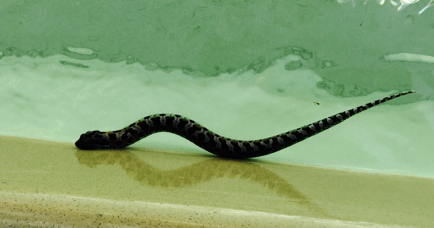 Screenshot 2024-10-06 at 10.54.32 AM.png