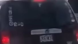 stick1.JPG