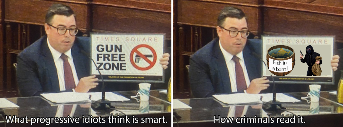 times-square-gun-free-zone-fish-in-a-barrel.jpg