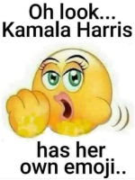 1721937195819.png